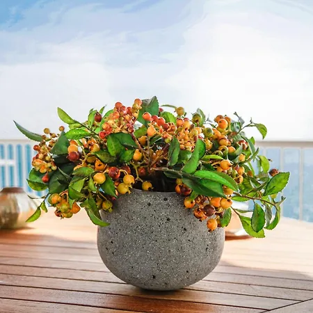 Rocas Roses
