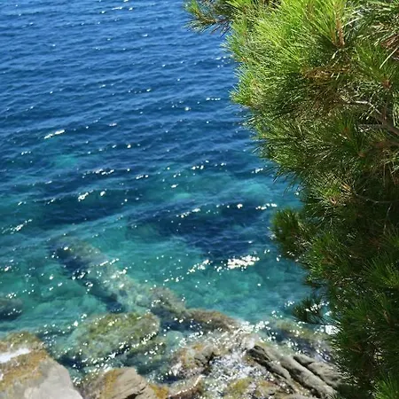 شقة Rocas