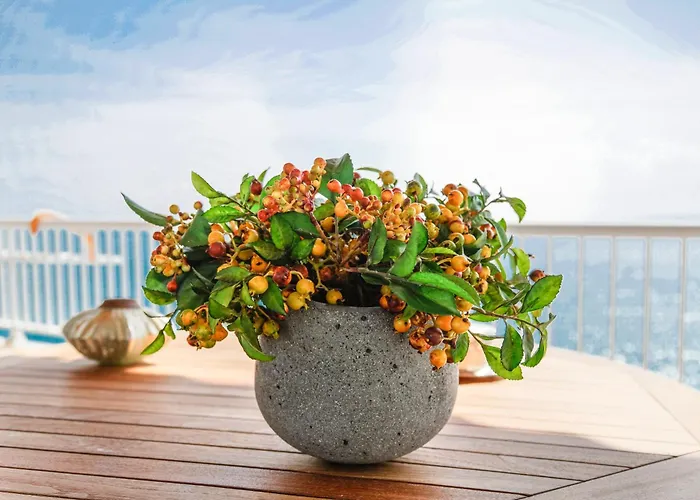 Rocas Roses
