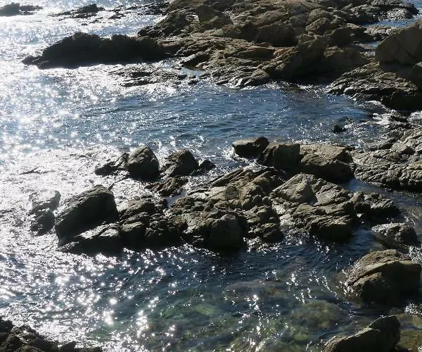 Rocas Apartment *